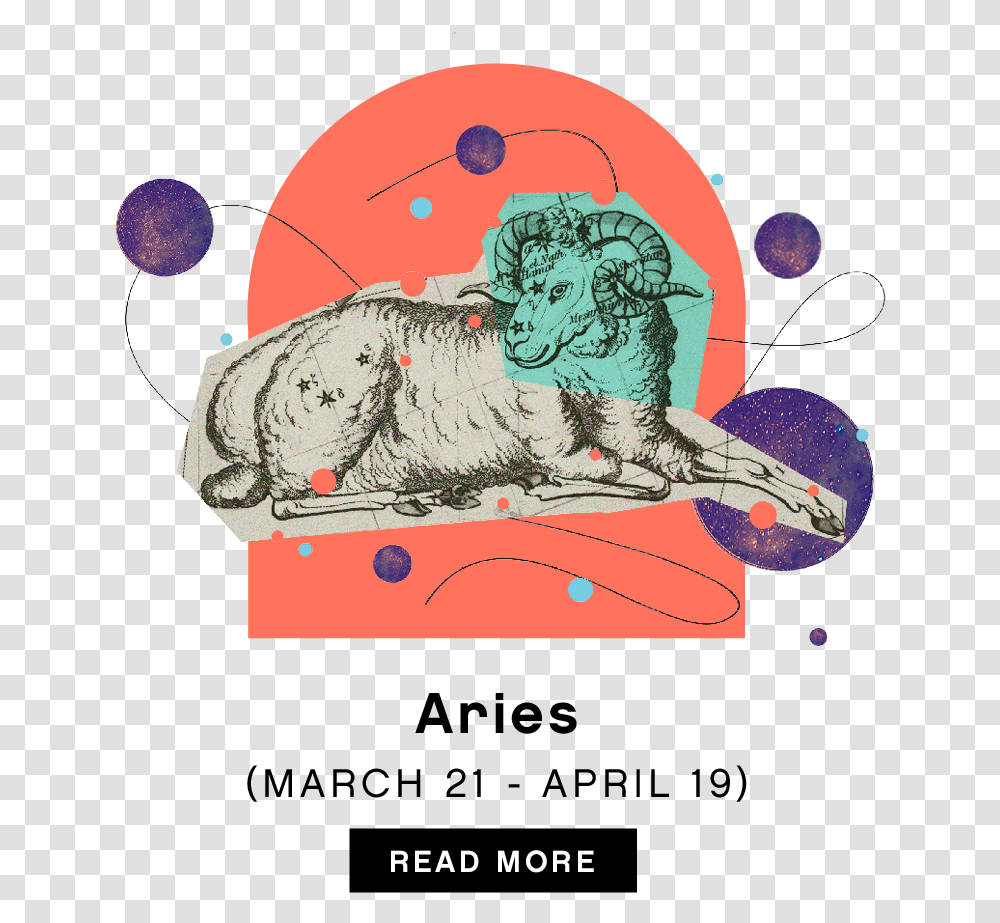 Aries Constellation, Animal, Dog, Mammal, Outdoors Transparent Png
