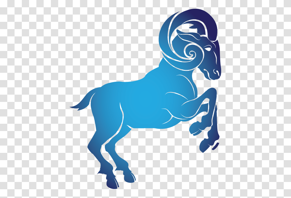 Aries, Zodiac, Horse, Mammal, Animal Transparent Png