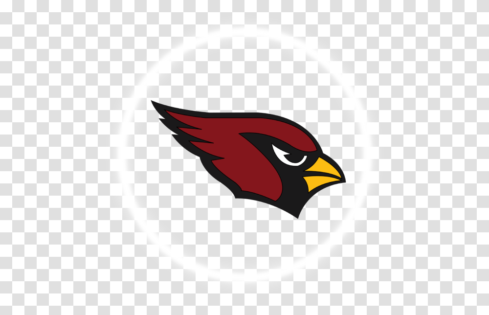 Arizona Cardinal, Finch, Bird, Animal, Blackbird Transparent Png