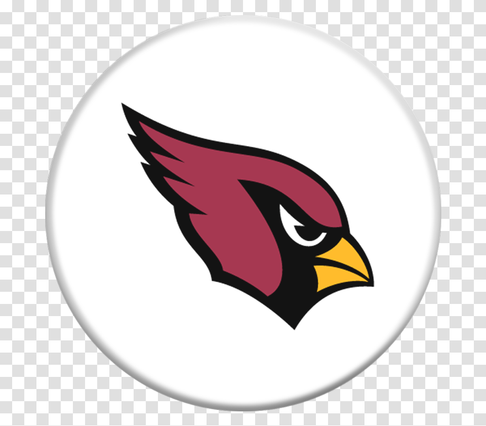 Arizona Cardinals Helmet Cardinals Arizona, Bird, Animal, Logo Transparent Png