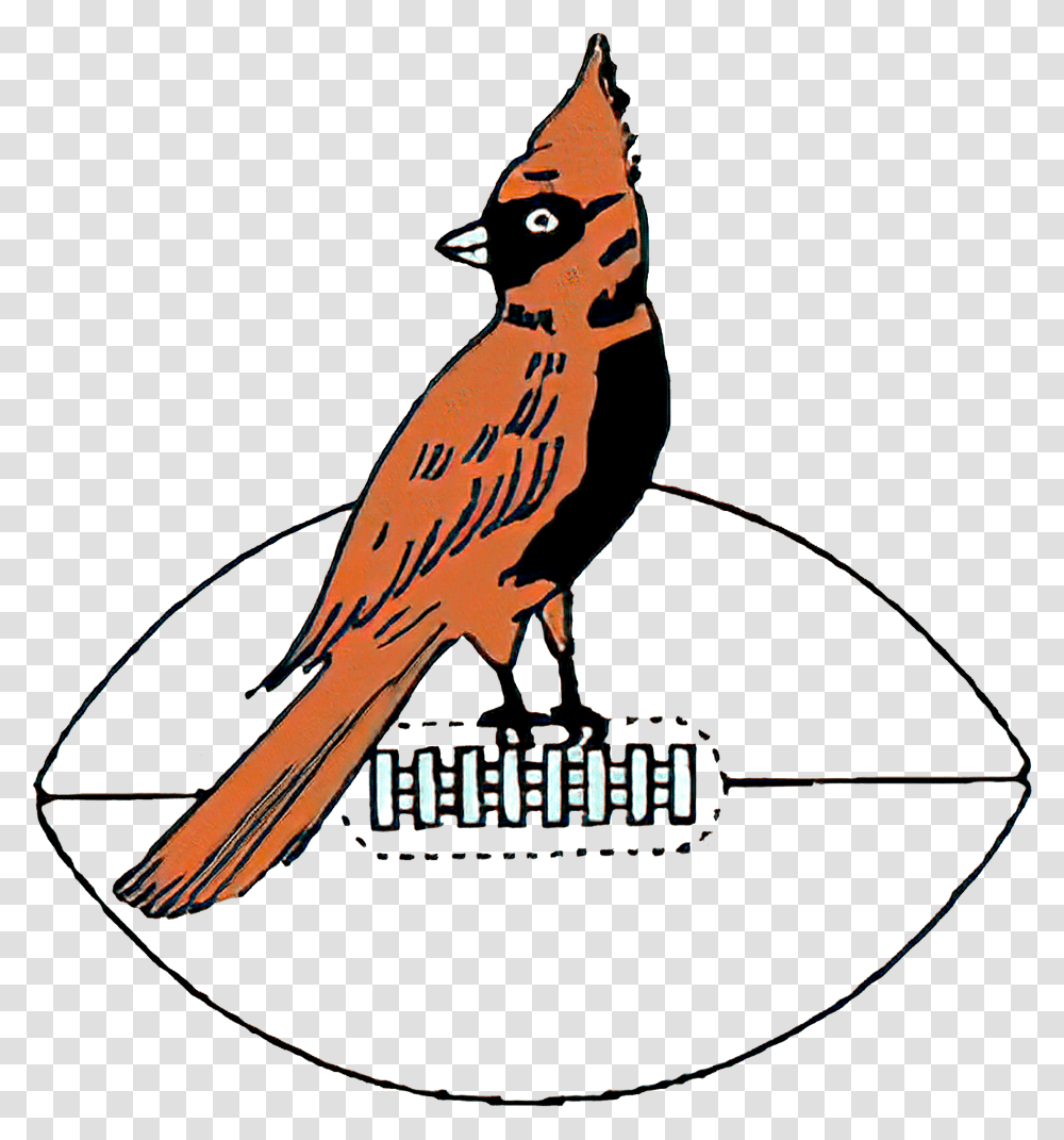Arizona Cardinals Logo The Most Famous Brands And Company Arizona Cardinals Old Logo, Jay, Bird, Animal, Finch Transparent Png