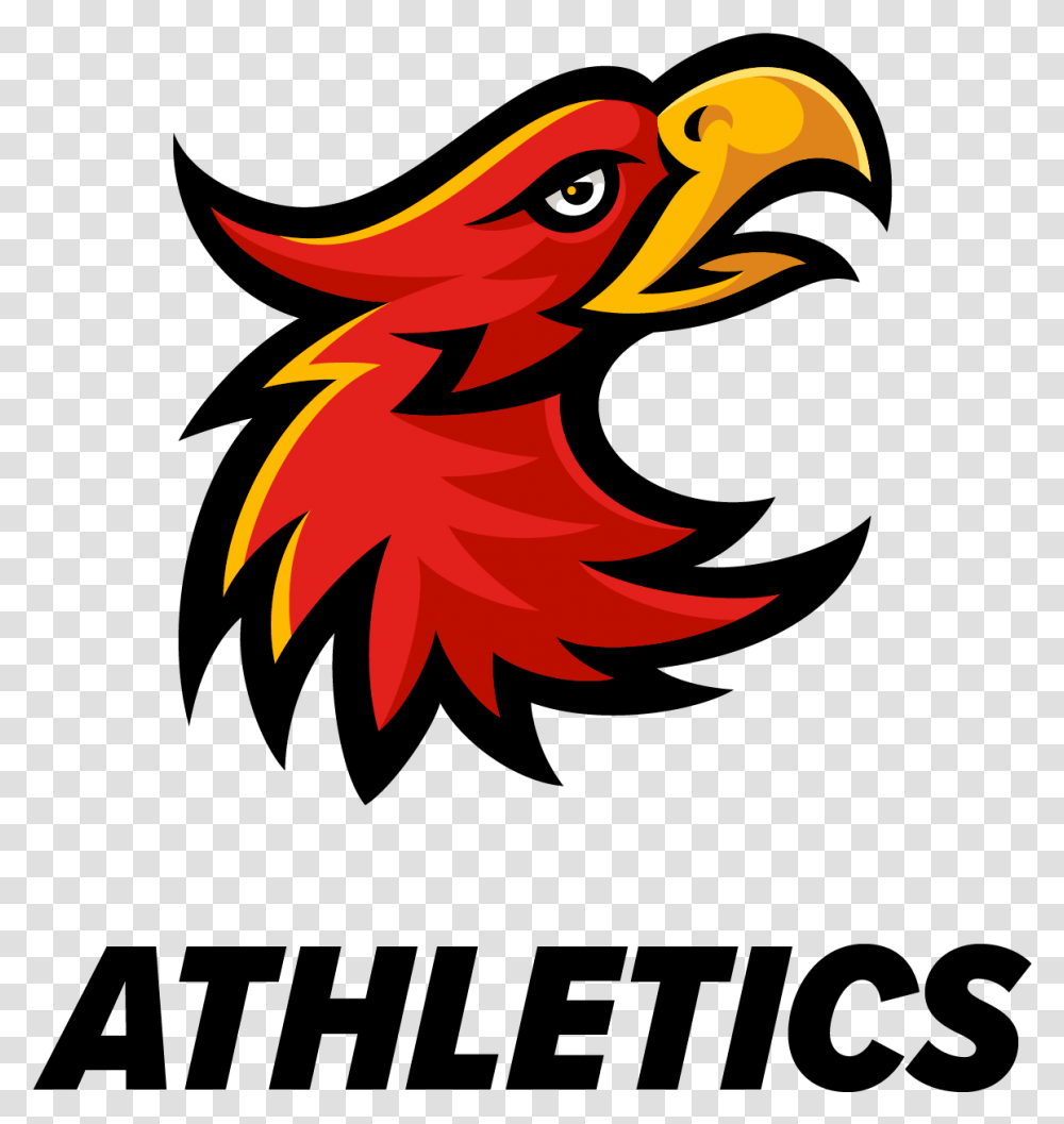 Arizona Christian University Mascot, Bird, Animal, Dragon Transparent Png