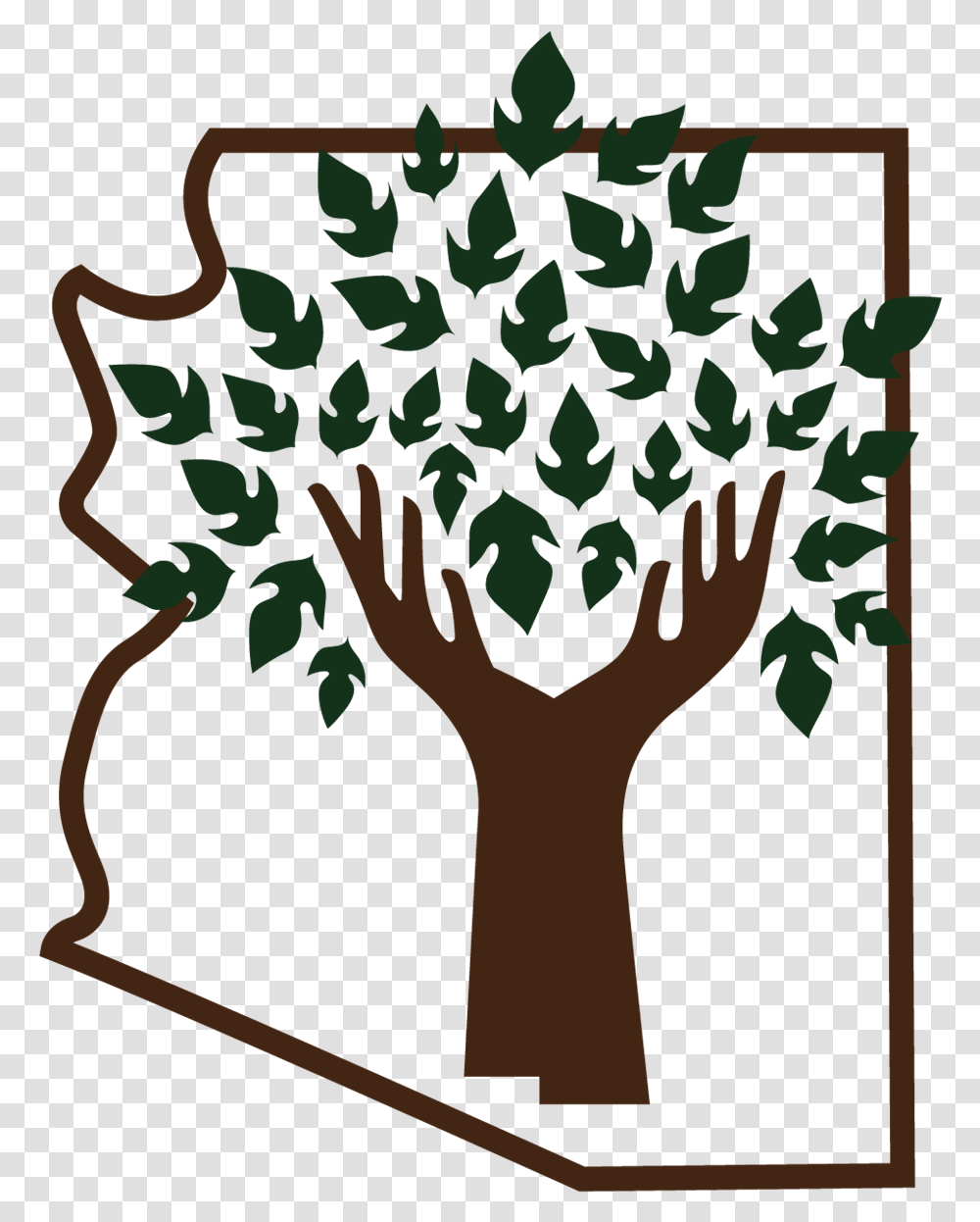 Arizona Community Tree Council, Plant, Leaf, Painting Transparent Png