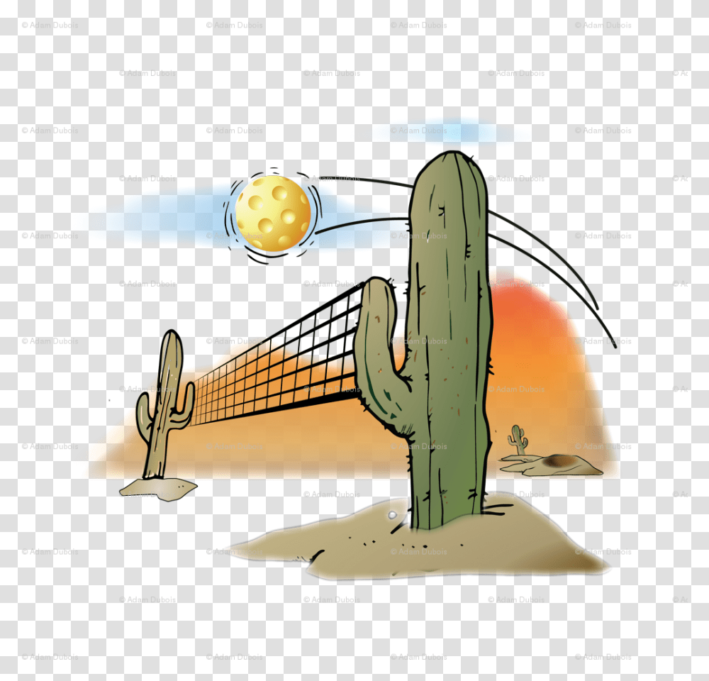 Arizona Pickleball Download Illustration, Plant, Cactus, Airplane, Aircraft Transparent Png