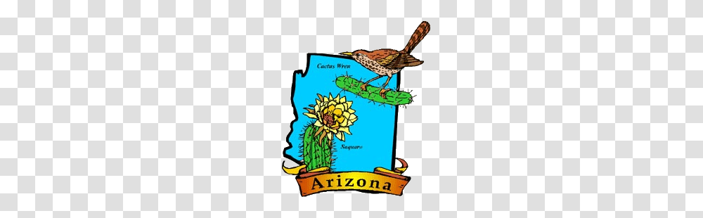 Arizona State Bird Flower Tree Flag, Animal, Wren, Anthus, Sparrow Transparent Png