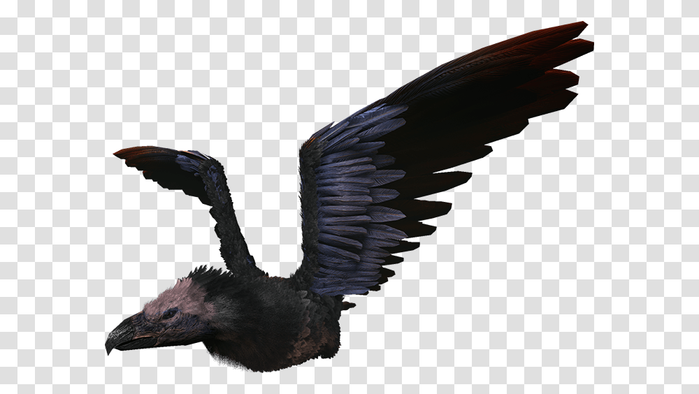 Ark Argentavis, Vulture, Bird, Animal, Condor Transparent Png