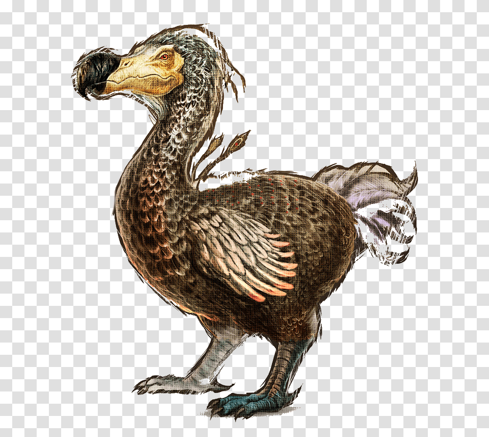 Ark Dodo, Bird, Animal, Dinosaur, Reptile Transparent Png