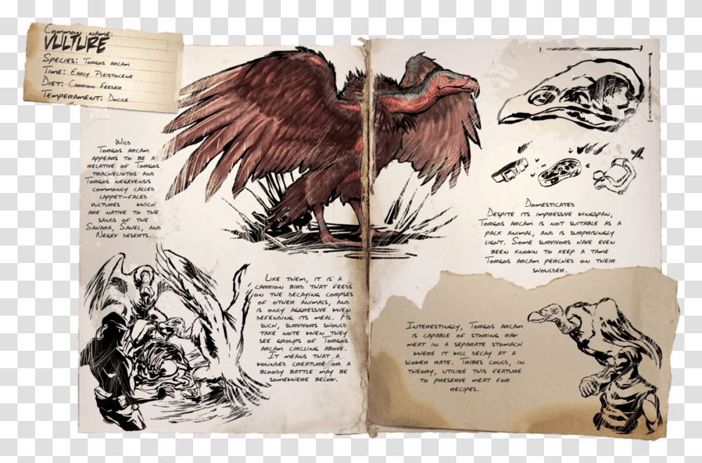 Ark Dossiers Morellatops, Bird, Animal, Vulture, Comics Transparent Png