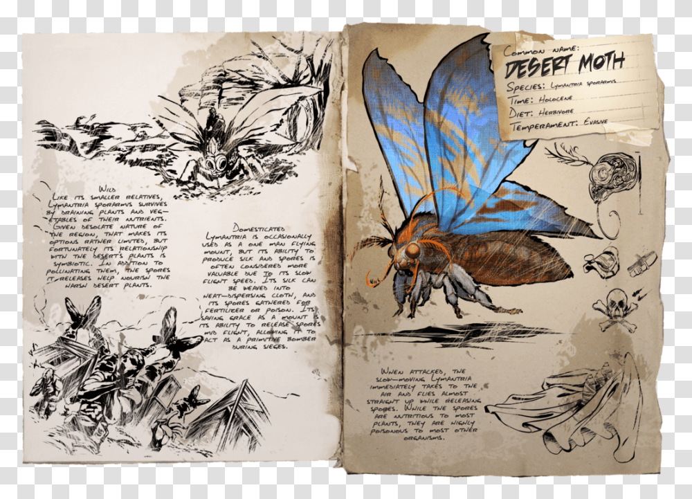 Ark Survival Evolved Animais, Honey Bee, Insect, Invertebrate, Animal Transparent Png