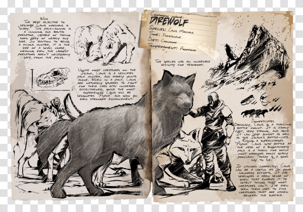 Ark Survival Evolved Dire Wolf Dossier, Person, Tiger, Mammal, Animal Transparent Png
