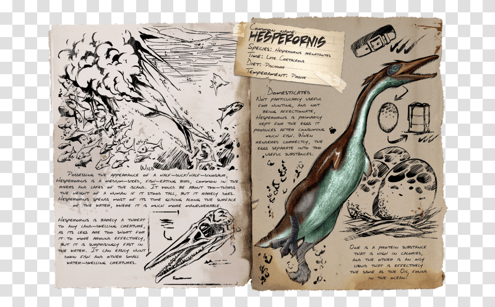 Ark Survival Evolved Hesperornis, Bird, Animal, Page Transparent Png