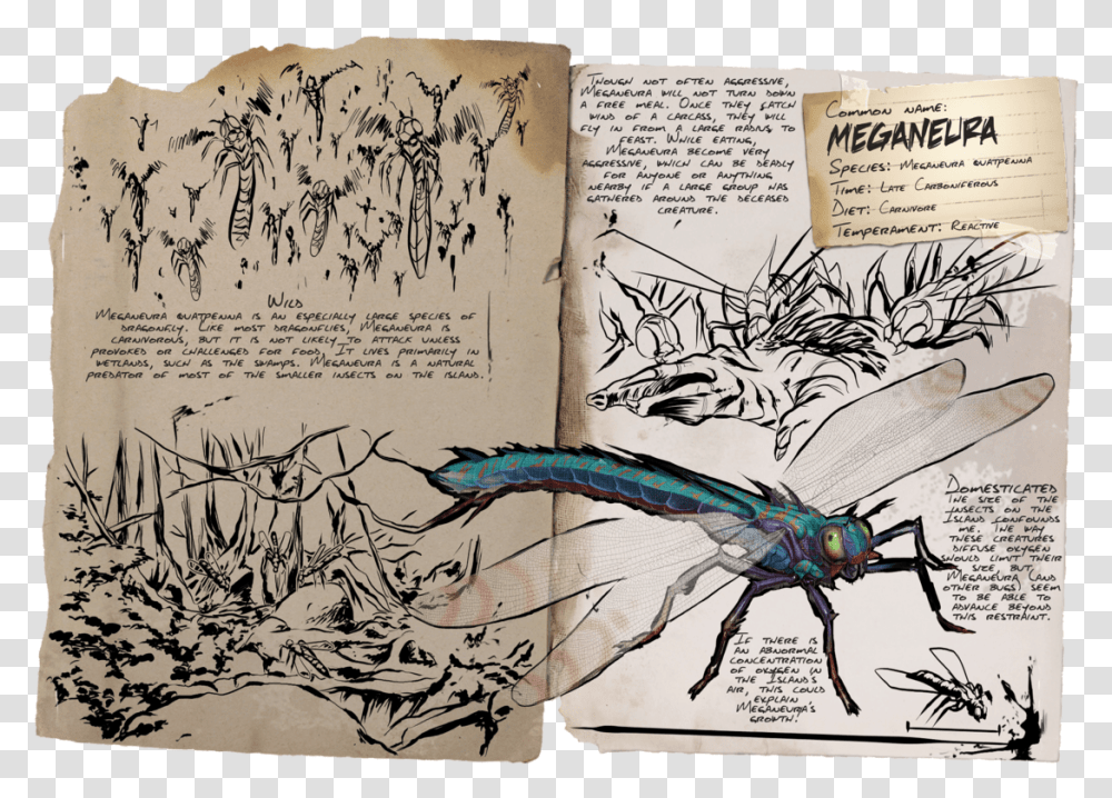 Ark Survival Evolved Pages, Bird, Animal, Handwriting Transparent Png