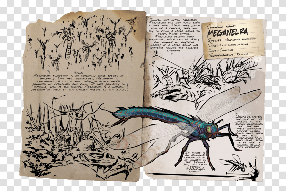 Ark Survival Evolved Pages, Insect, Invertebrate, Animal Transparent Png