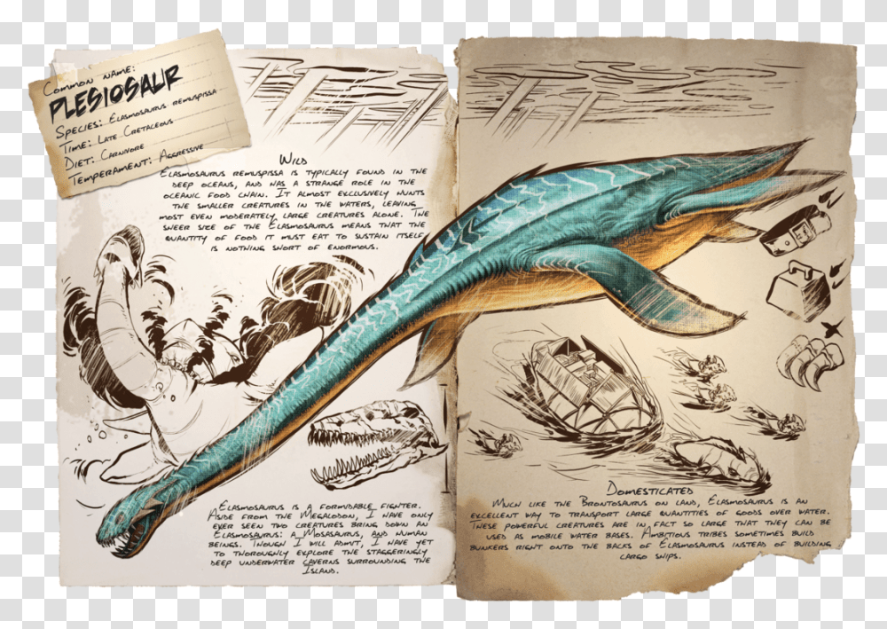 Ark Survival Evolved Plesiosaur, Animal, Paper, Sea Life Transparent Png