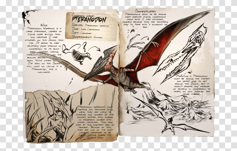 Ark Survival Evolved Pteranodon, Bird, Animal, Book Transparent Png