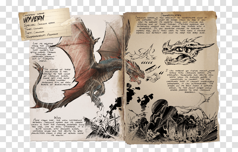 Ark Survival Evolved Scorched Earth Dinos, Bird, Animal, Book Transparent Png