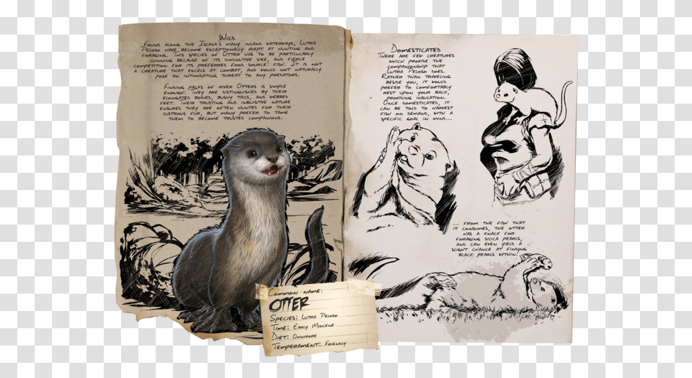 Ark Survival Otter, Bird, Animal, Tiger, Wildlife Transparent Png
