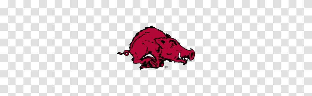 Arkansas Razorbacks Primary Logo Sports Logo History, Mammal, Animal, Wildlife, Hog Transparent Png