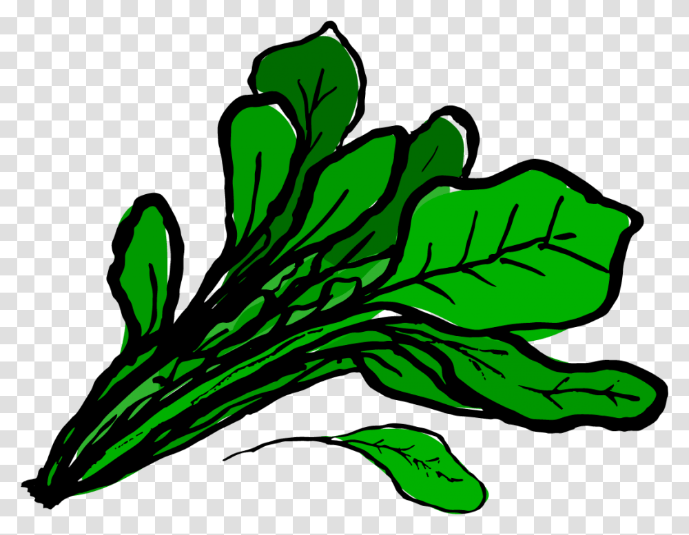 Arm Clipart Popeye, Plant, Leaf, Vegetable, Food Transparent Png