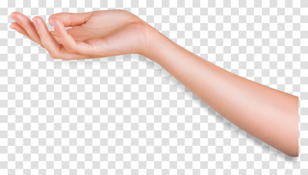 Arm Download Image Arm, Hand, Person, Wrist Transparent Png