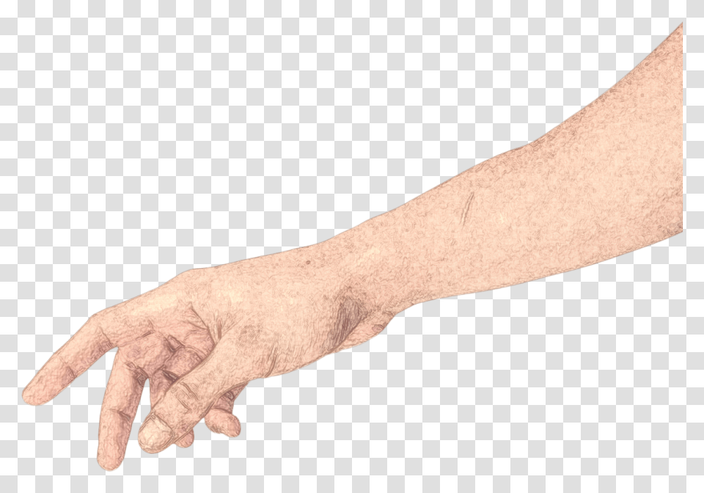 Arm Hand Grab Interesting Freetoedit Darkness, Wrist, Finger, Lizard, Reptile Transparent Png