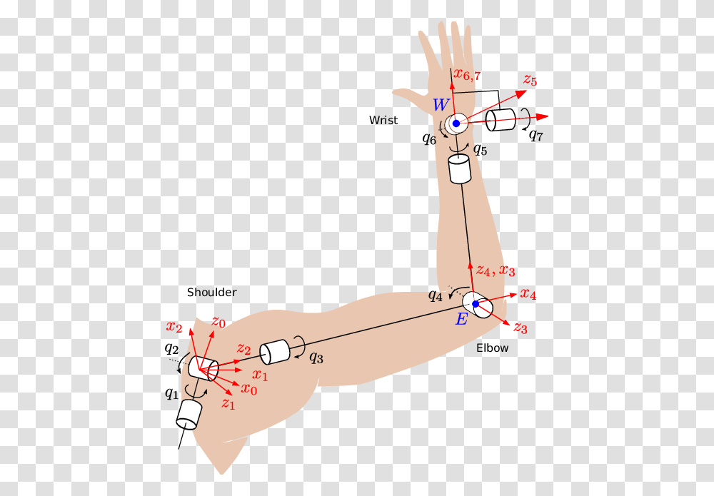 Arm Kinematics, Plot, Diagram, Bow, Measurements Transparent Png