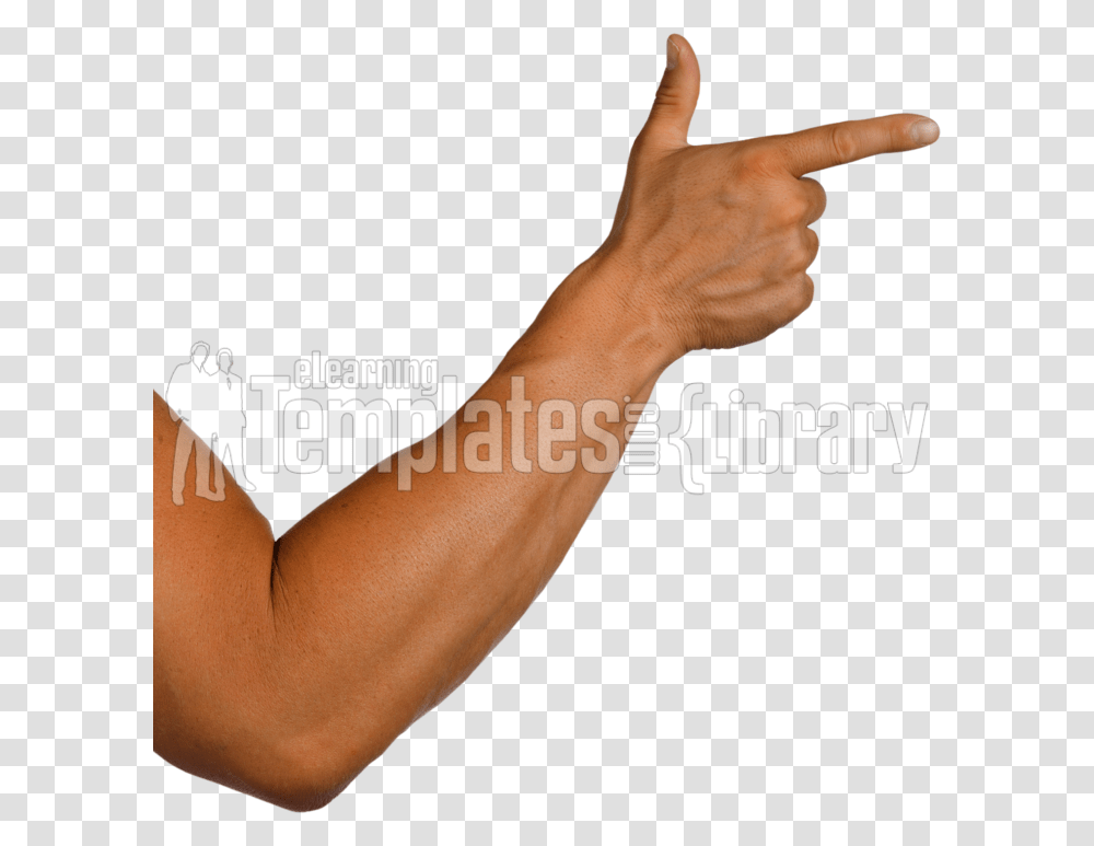 Arm Pointing, Person, Human, Finger Transparent Png