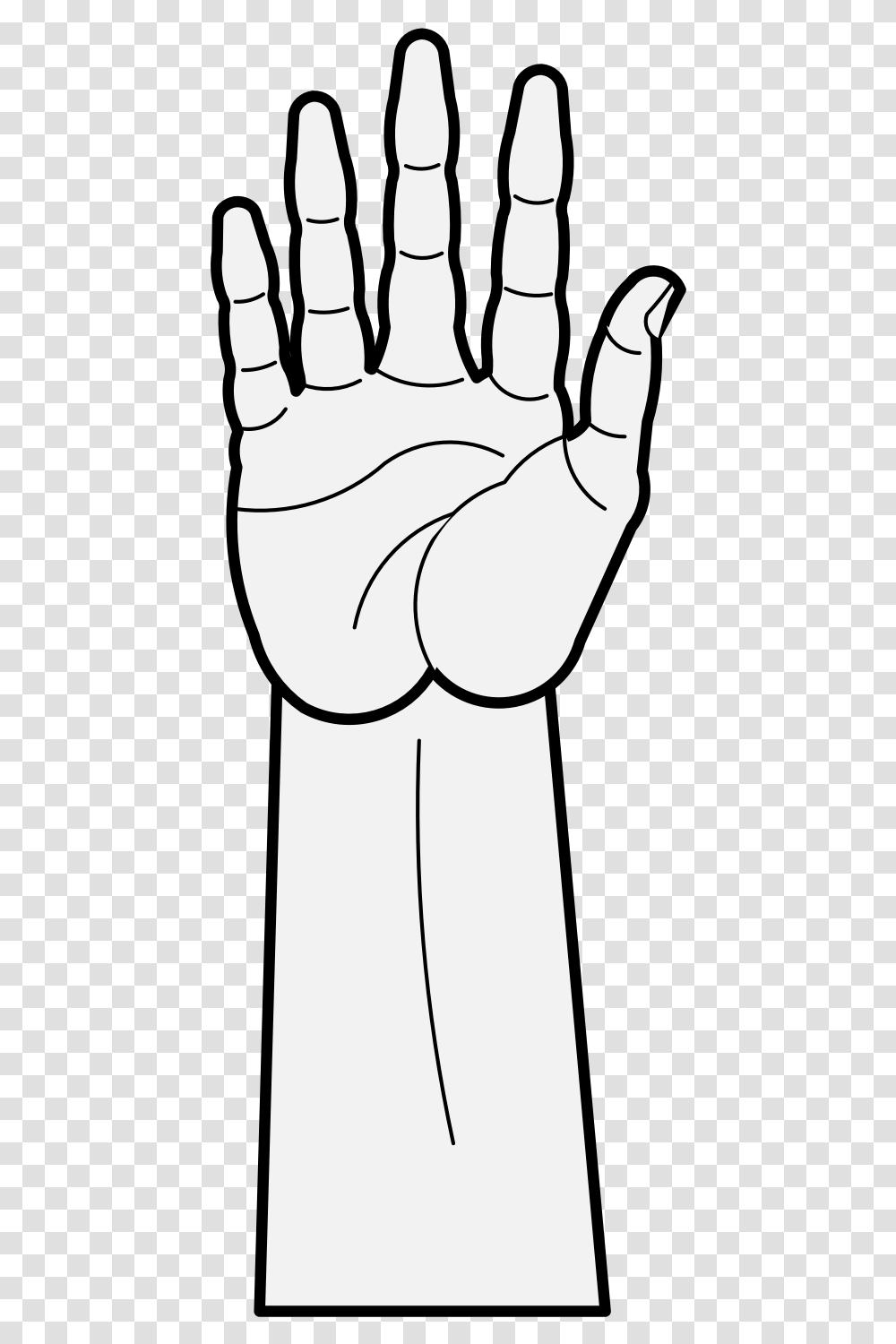 Arm Sketch, Person, Human, Hand, Text Transparent Png