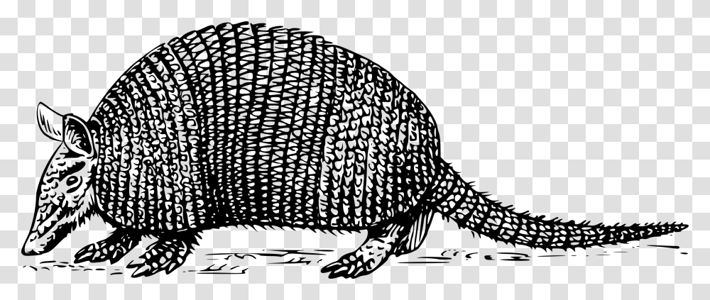 Armadillo Black And White Black And White Armadillo, Gray, World Of Warcraft Transparent Png