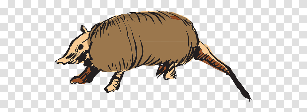 Armadillo Brown Art Animal Tail Armor Public Domain Armadillo Clip Art, Mammal, Wildlife, Mole, Rodent Transparent Png