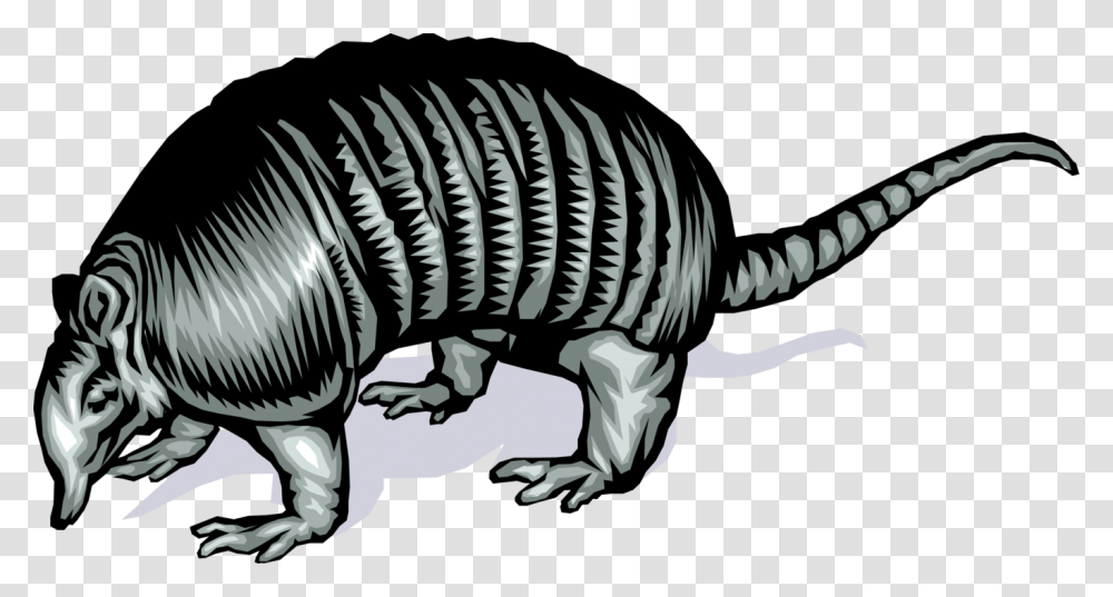 Armadillo With Armour Shell, Animal, Zebra, Wildlife, Mammal Transparent Png