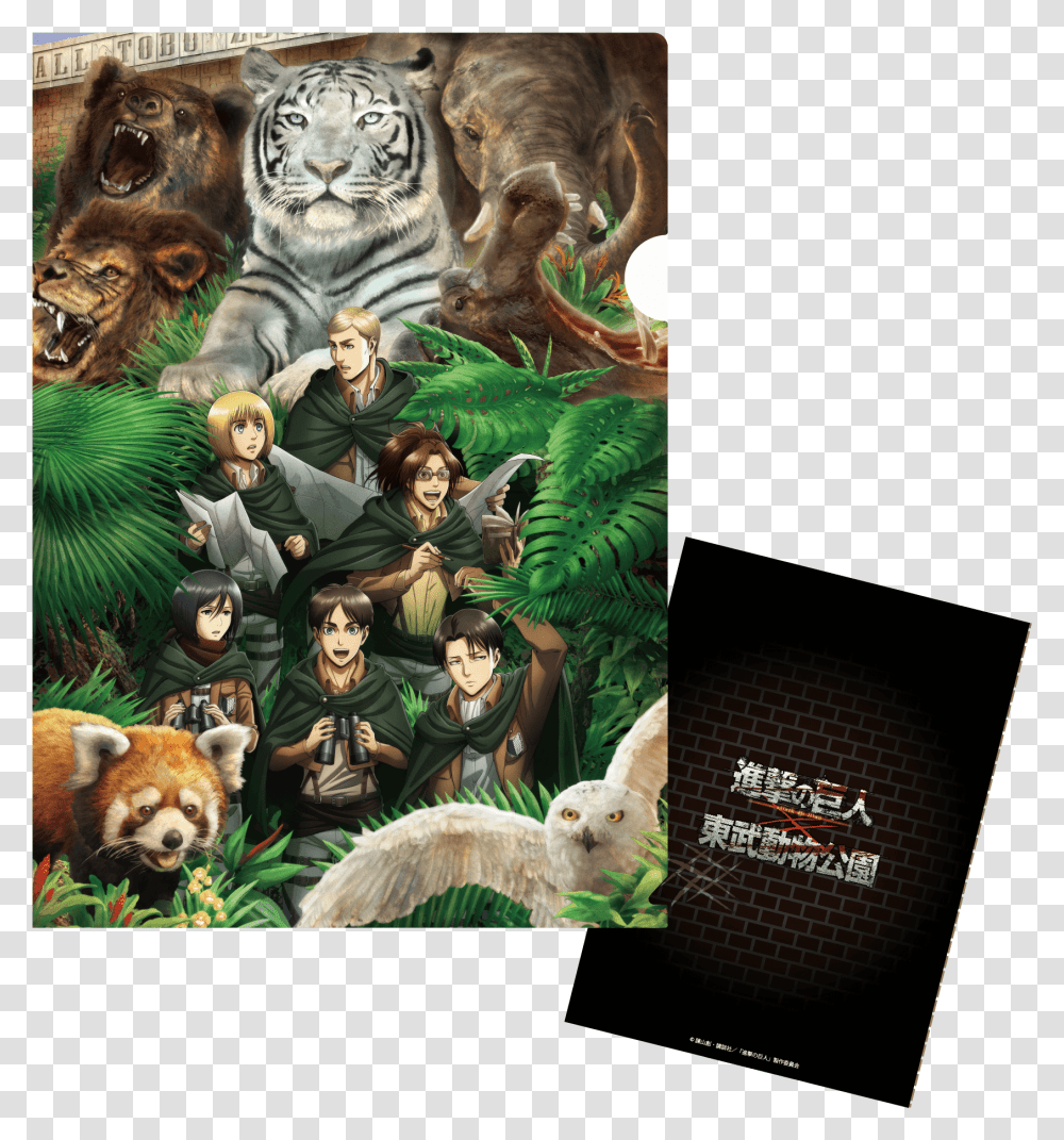 Armin Arlert Official Art, Lion, Wildlife, Mammal, Animal Transparent Png