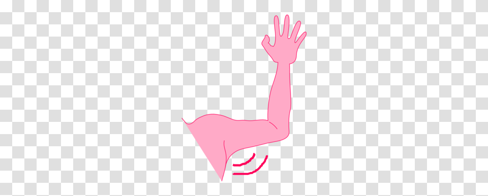 Armpit Clipart Group With Items, Hand Transparent Png