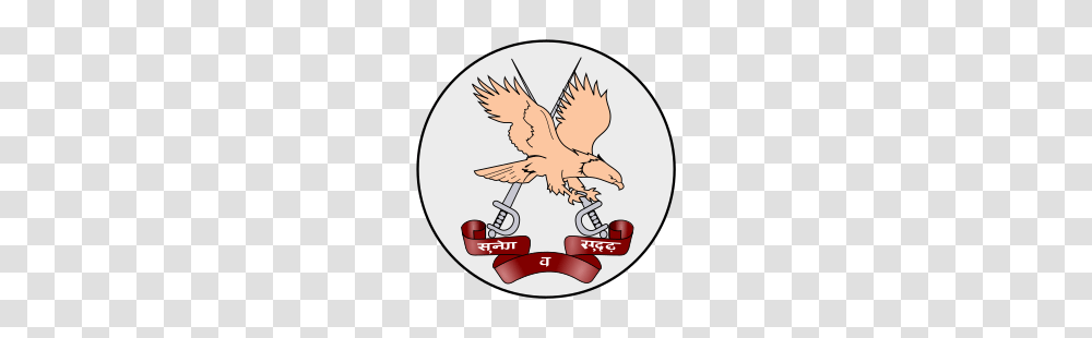 Army Aviation Corps, Vulture, Bird, Animal, Condor Transparent Png