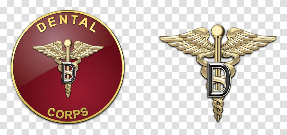 Army Dental Corps Insignia, Lamp, Logo, Trademark Transparent Png