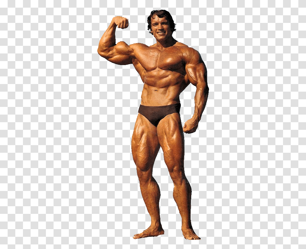 Arnold Arnold Schwarzenegger Bodybuilding, Arm, Person, Human, Female Transparent Png