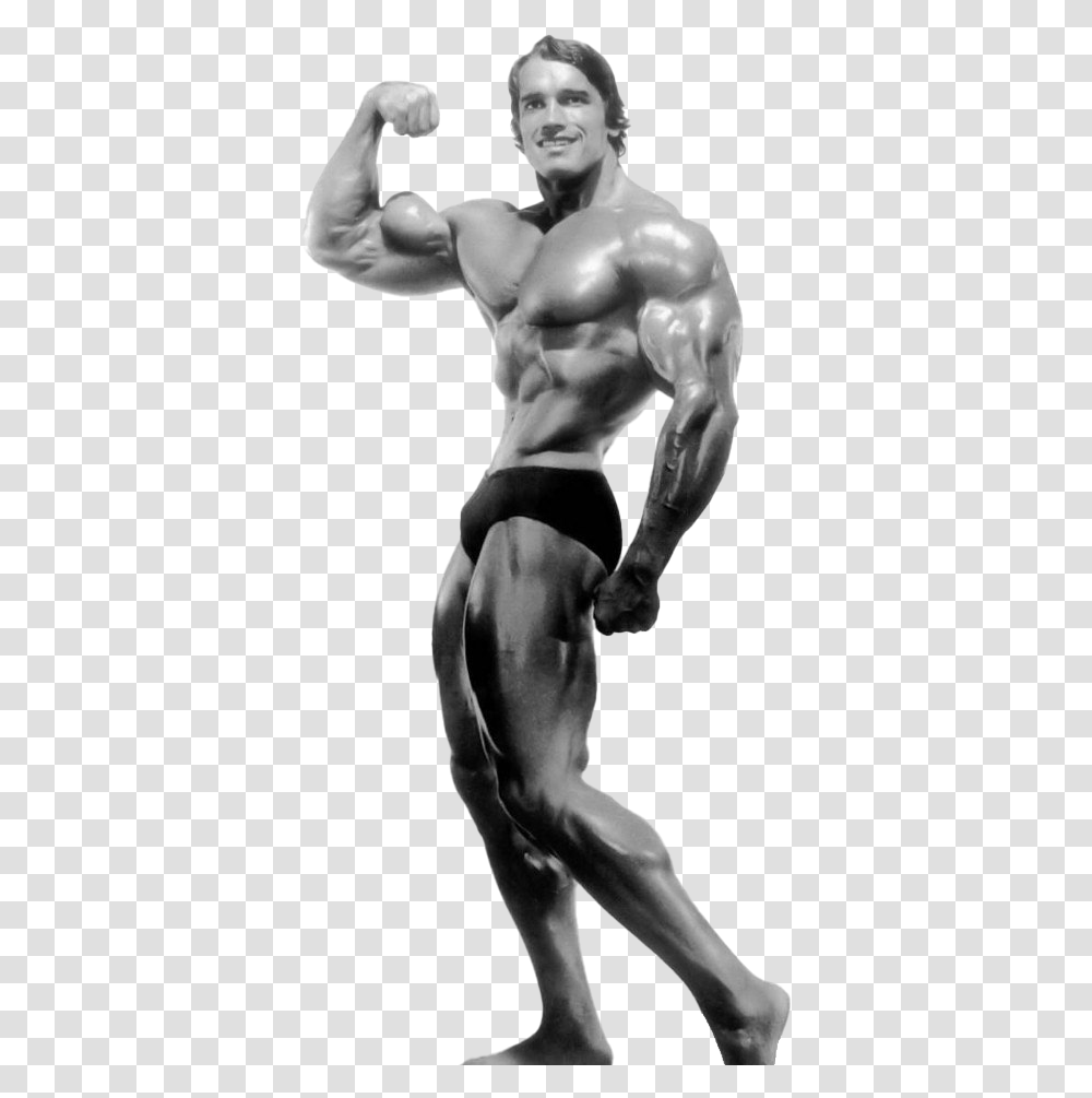 Arnold Schwarzenegger Bodybuilding Arnold Schwarzenegger Bodybuilding, Arm, Torso, Person, Human Transparent Png