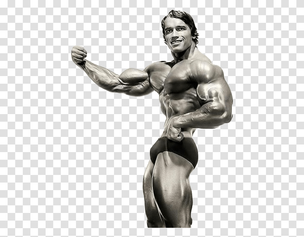 Arnold Schwarzenegger Bodybuilding Download Image Arnold Schwarzenegger Bodybuilding, Arm, Person, Human, Torso Transparent Png