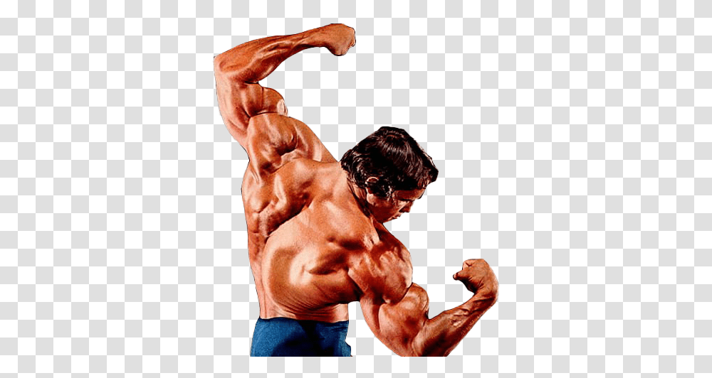 Arnold Schwarzenegger Bodybuilding Images Arnold Schwarzenegger Best Pose, Arm, Person, Human, Hand Transparent Png