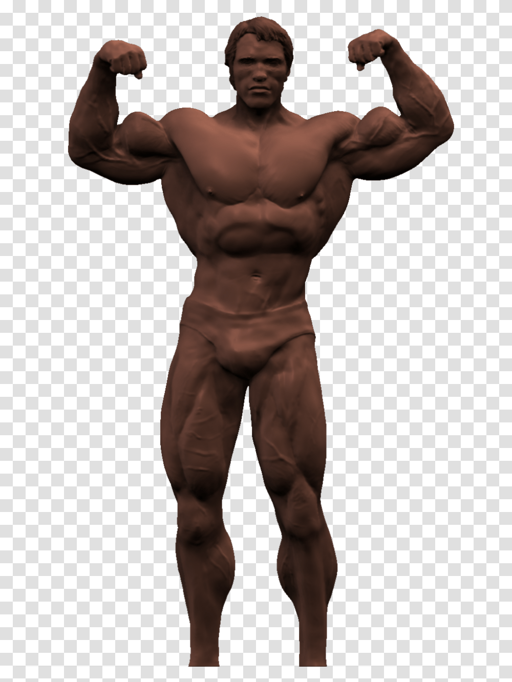 Arnold Schwarzenegger Bodybuilding Pic Arnold Schwarzenegger Background, Arm, Person, Human, Torso Transparent Png