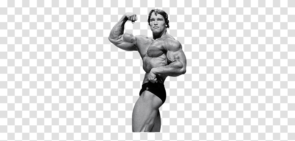 Arnold Schwarzeneggers Blueprint To Cut Training Workout, Arm, Person, Man, Portrait Transparent Png