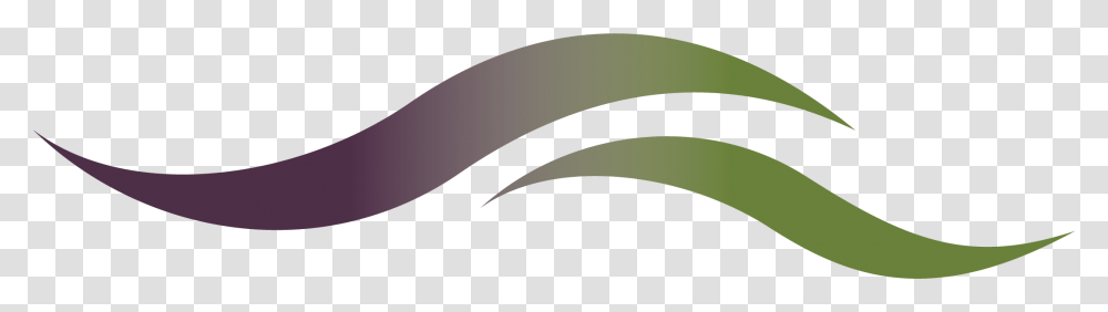 Aroma Spa Nz, Animal, Kiwi Bird, Mammal, Logo Transparent Png