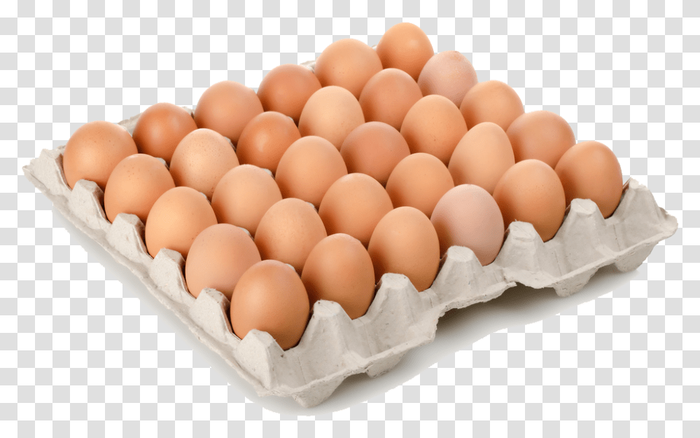 Arquitecto Te Lo Ponemos A Huevo Eggs In A Tray, Food, Birthday Cake, Dessert Transparent Png