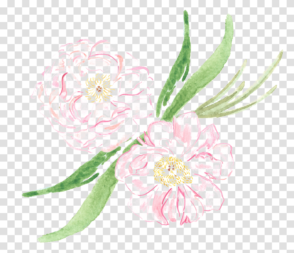 Arranjos Florais Sp Common Peony, Plant, Flower, Blossom, Floral Design Transparent Png