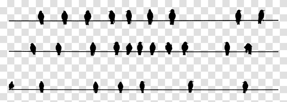 Array Of Perched Birds Silhouette Silhouette, Gray, World Of Warcraft Transparent Png
