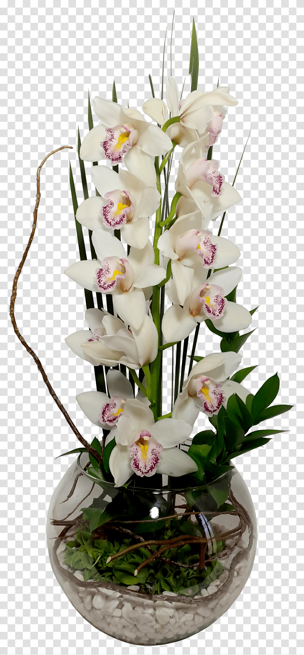 Arreglo Floral De Orquideas, Plant, Flower, Blossom, Ikebana Transparent Png
