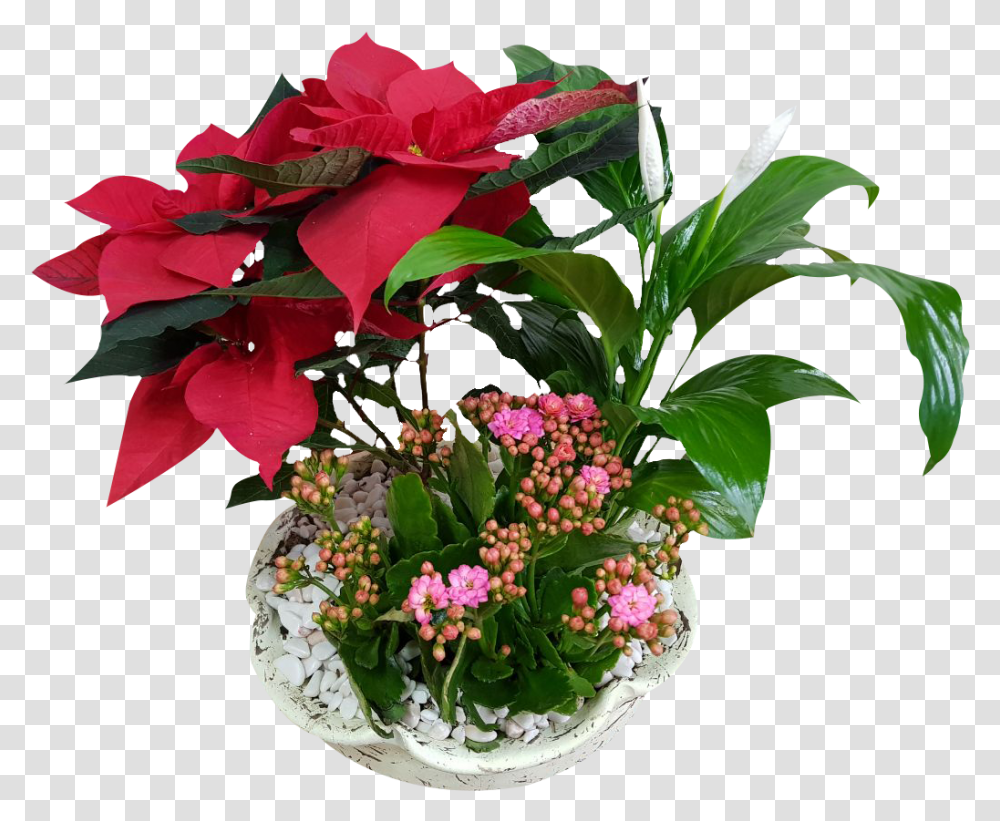Arreglo Floral, Ikebana, Vase, Ornament Transparent Png
