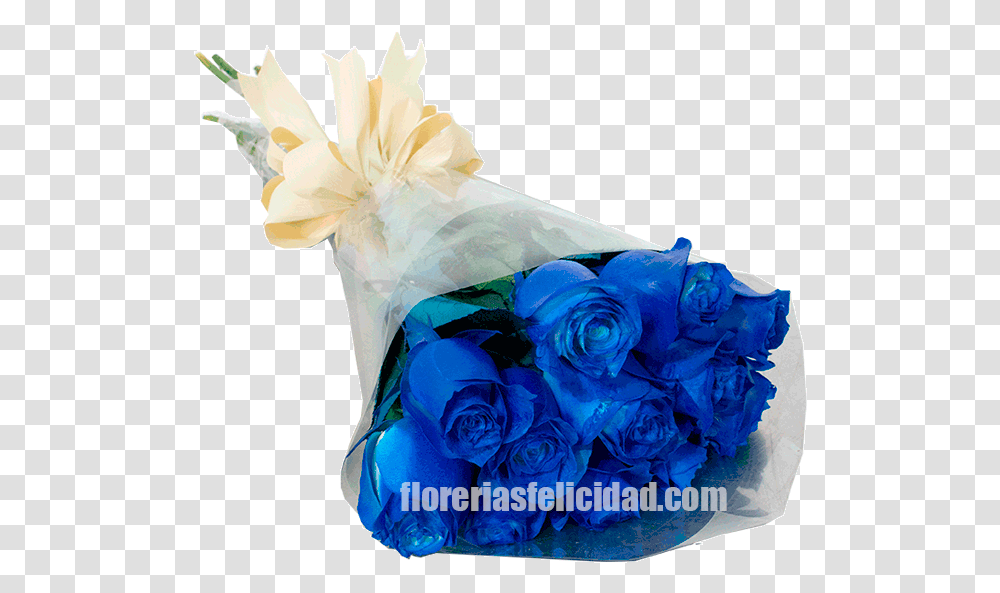 Arreglos De Rosas Azules Naturales, Plant, Flower, Blossom, Flower Bouquet Transparent Png