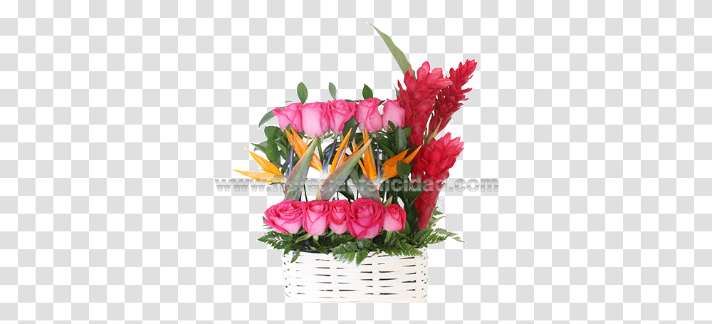 Arreglos Florales Con Hawaianas, Plant, Flower, Blossom, Flower Bouquet Transparent Png