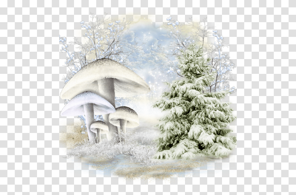 Arrire Plan Pour Cra D Hiver Tree With Snow Background, Plant, Outdoors, Nature, Ice Transparent Png